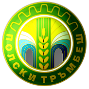 ПИРО лого