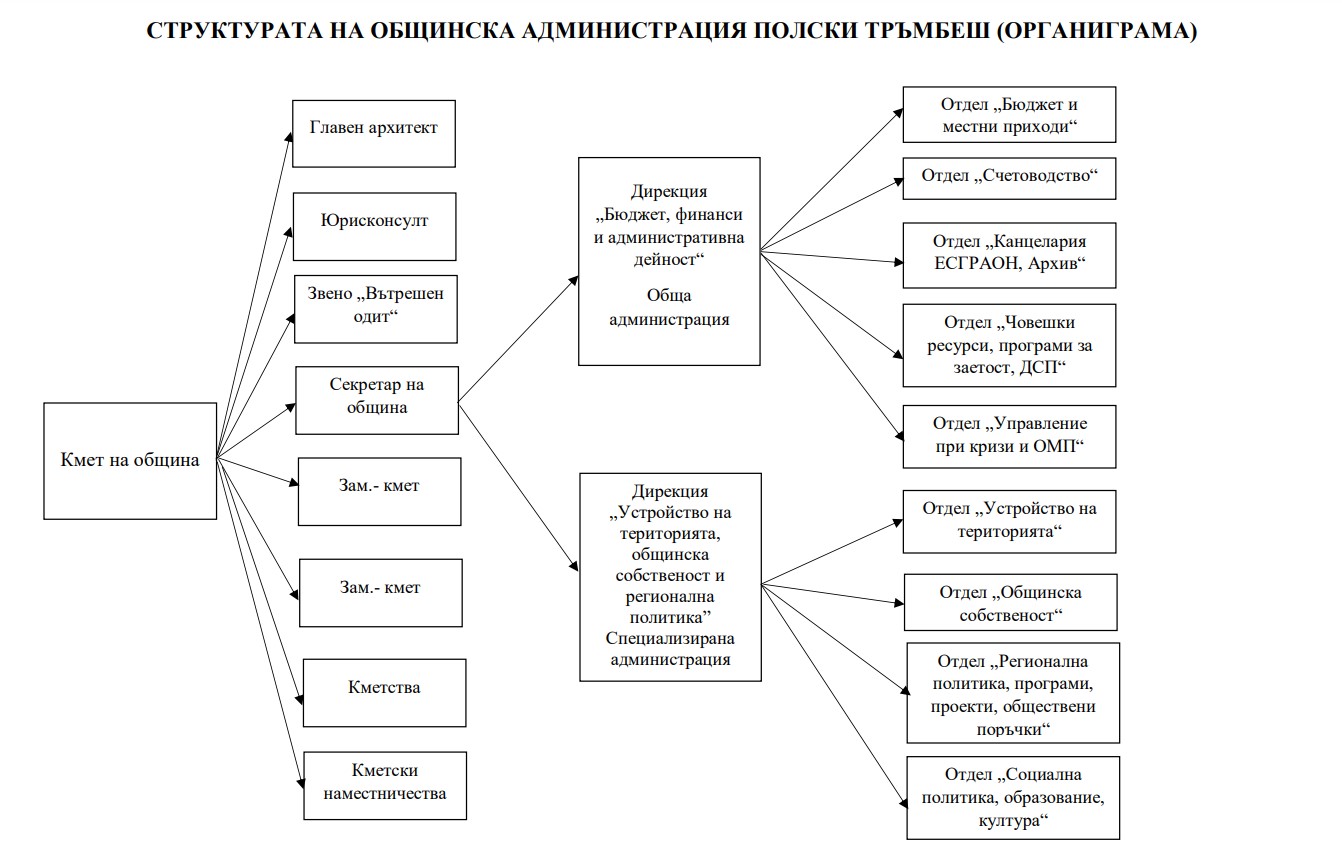 схема на общинска администрация